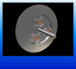 Imagen 01